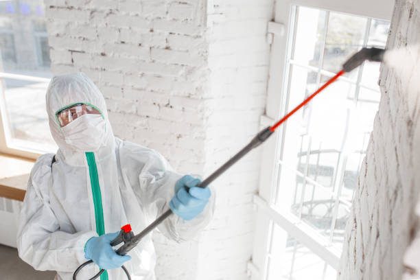 Best Biohazard Mold Removal  in Mobile, AL
