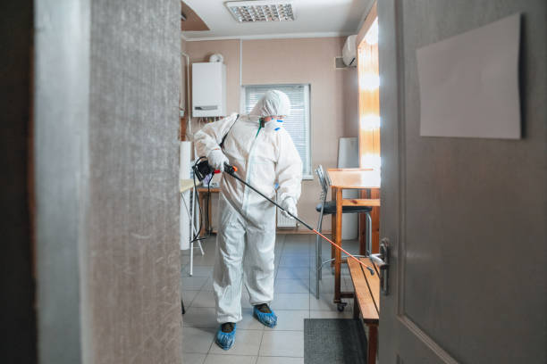 Best Environmental Consulting for Mold Prevention  in Mobile, AL