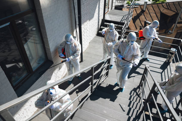 Best Attic Mold Removal  in Mobile, AL