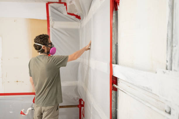 Best Water Damage & Mold Remediation  in Mobile, AL