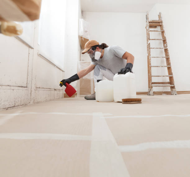 Best Industrial Mold Remediation  in Mobile, AL