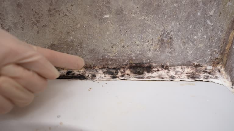 Best Residential Mold Inspection & Testing  in Mobile, AL